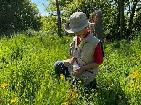 Student using a pooter to capture invertebrates in the long grass at Netpool Park