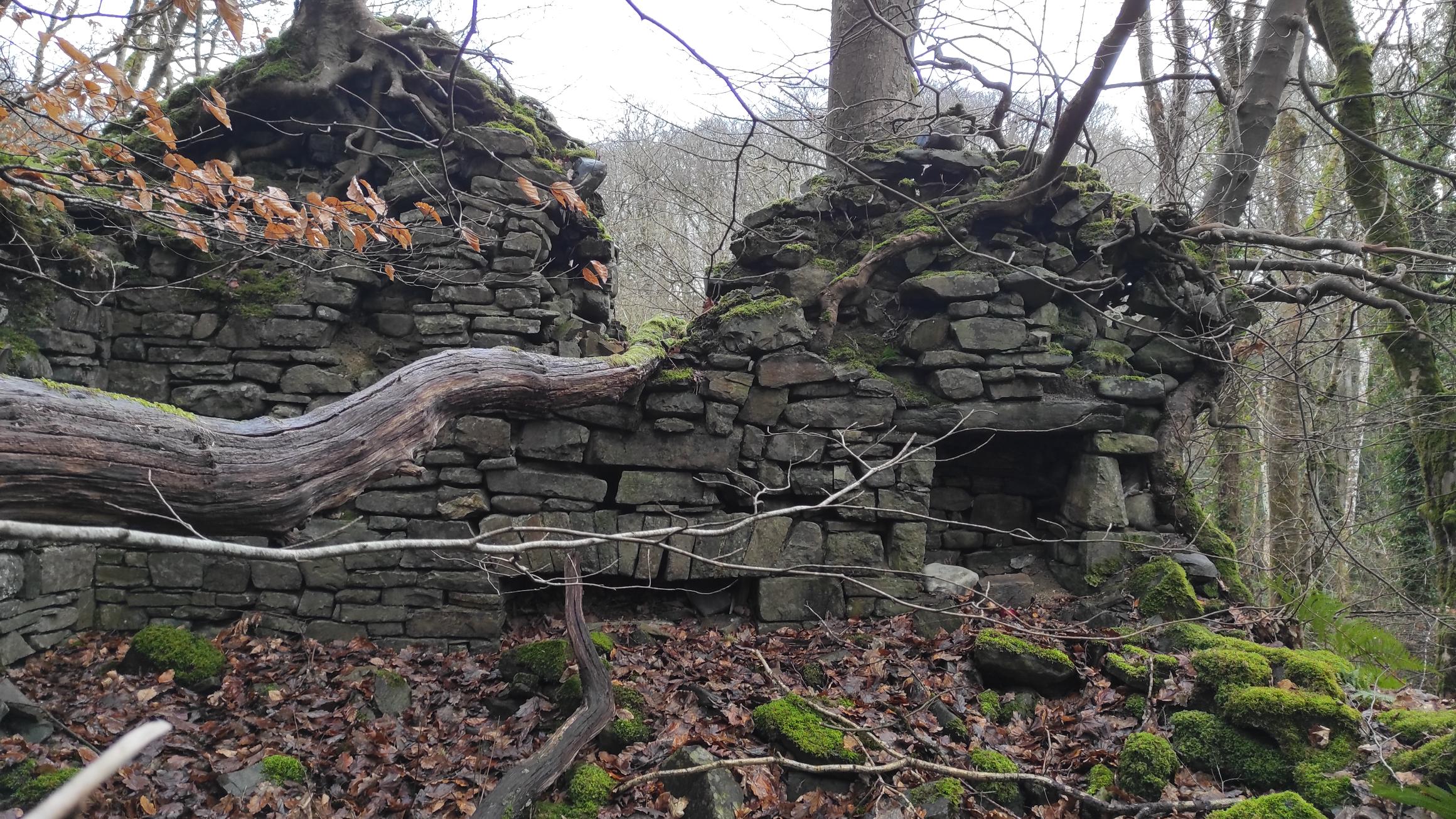 Old ruined stone house, just mossy wall remaining