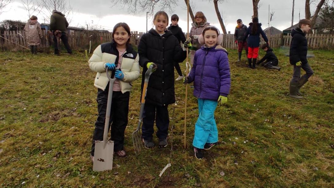 Students planting fruit trees