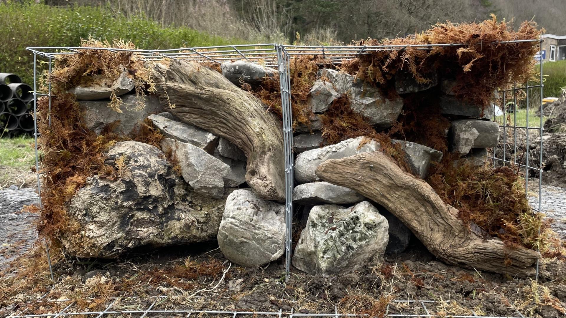 The beginnings of the Tŵr Gwyllt