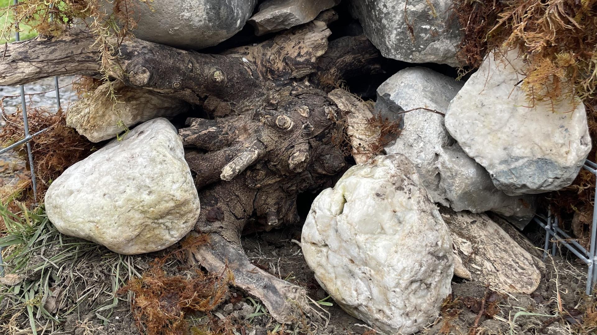 Simple, powerful ingredients: rock, driftwood, moss