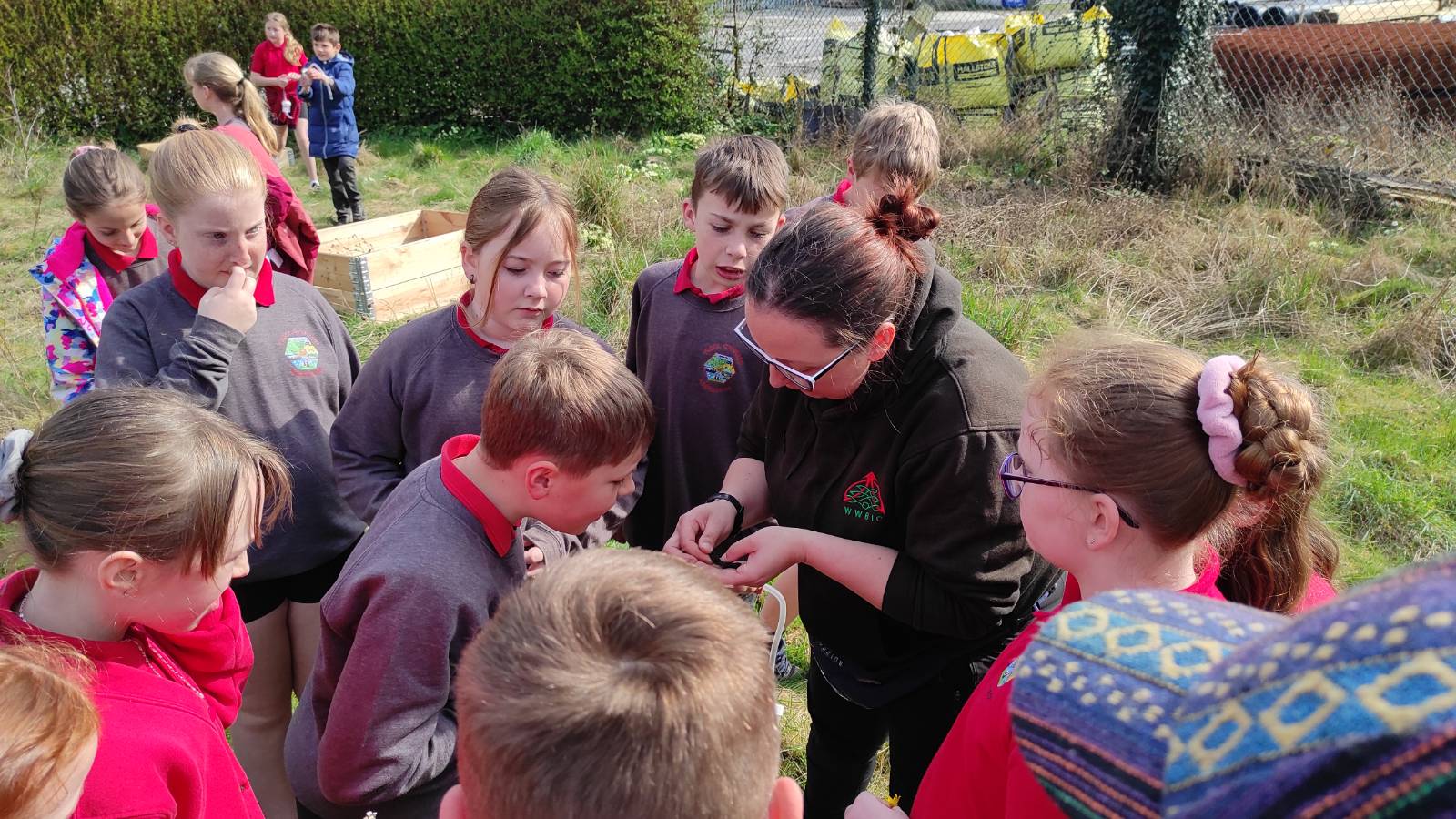 Ysgol Gynradd Aberaeron Workshop 1