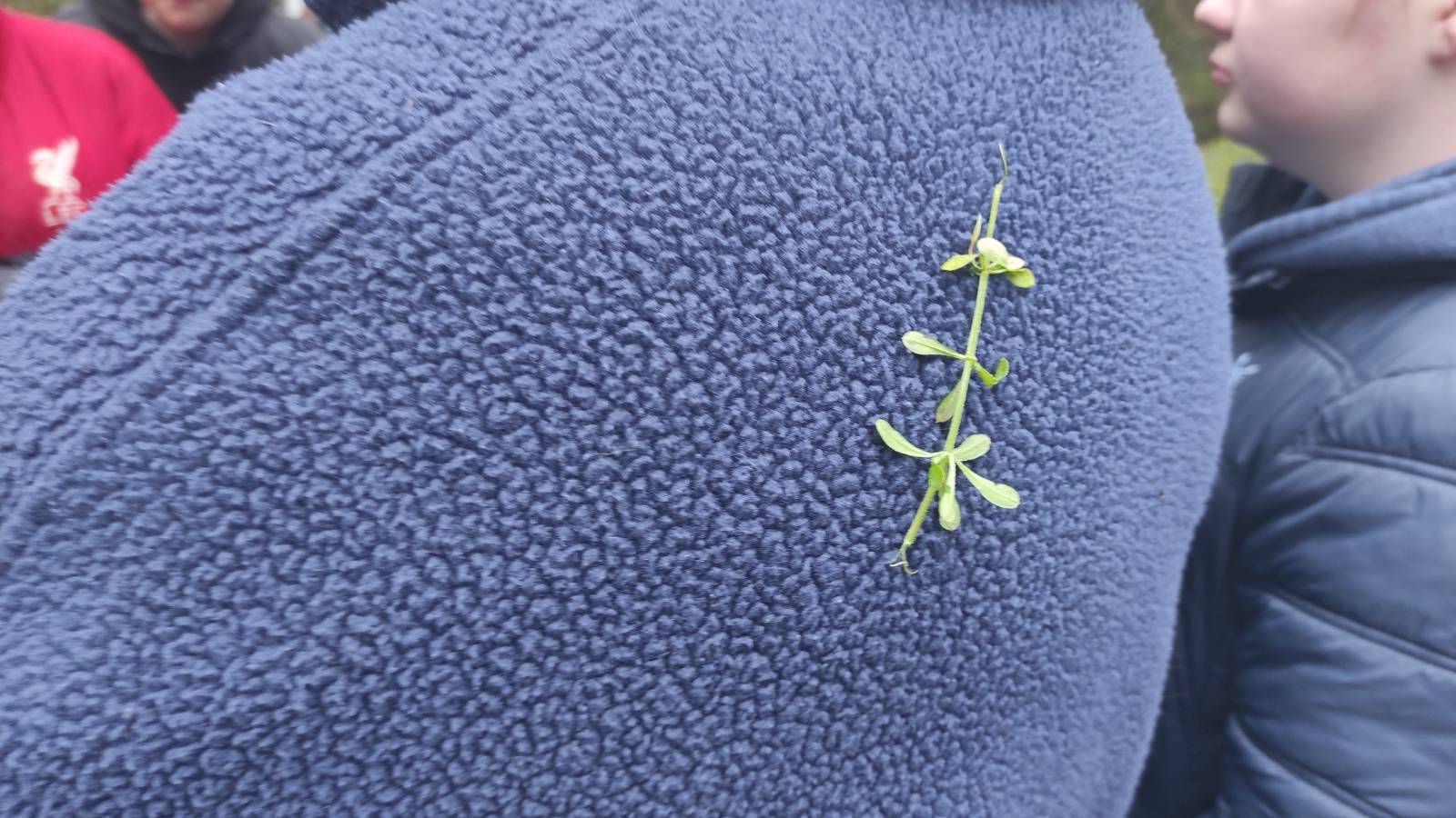 Someone has been tagged with Cleavers! 🤭