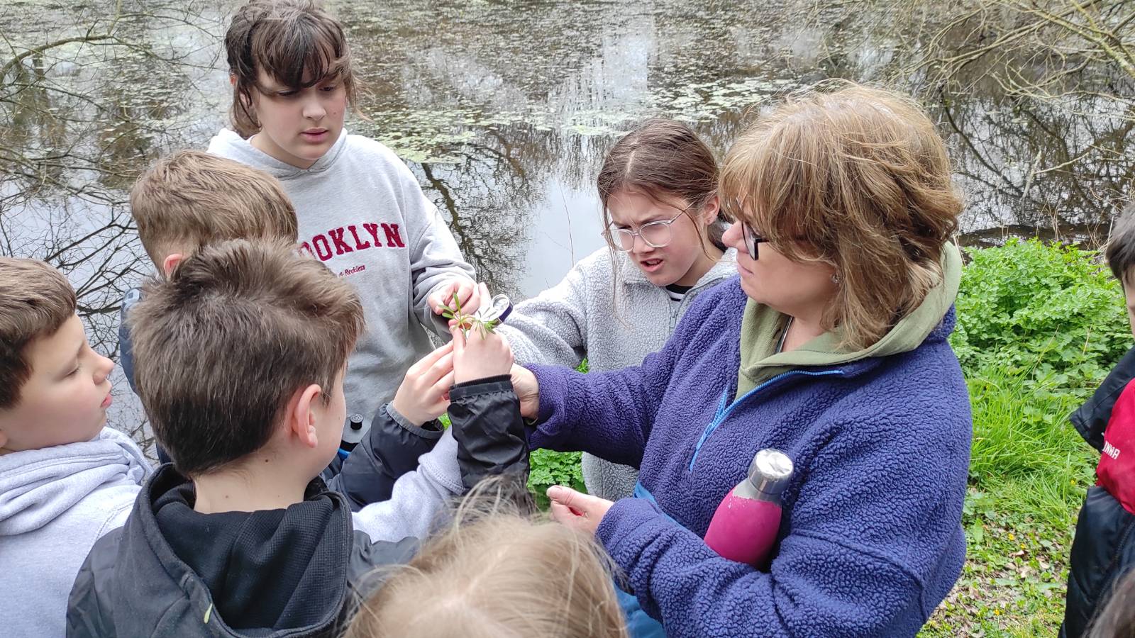 Headteacher Janette Jones showing the leaf structure of Cleavers (Galium aparine)