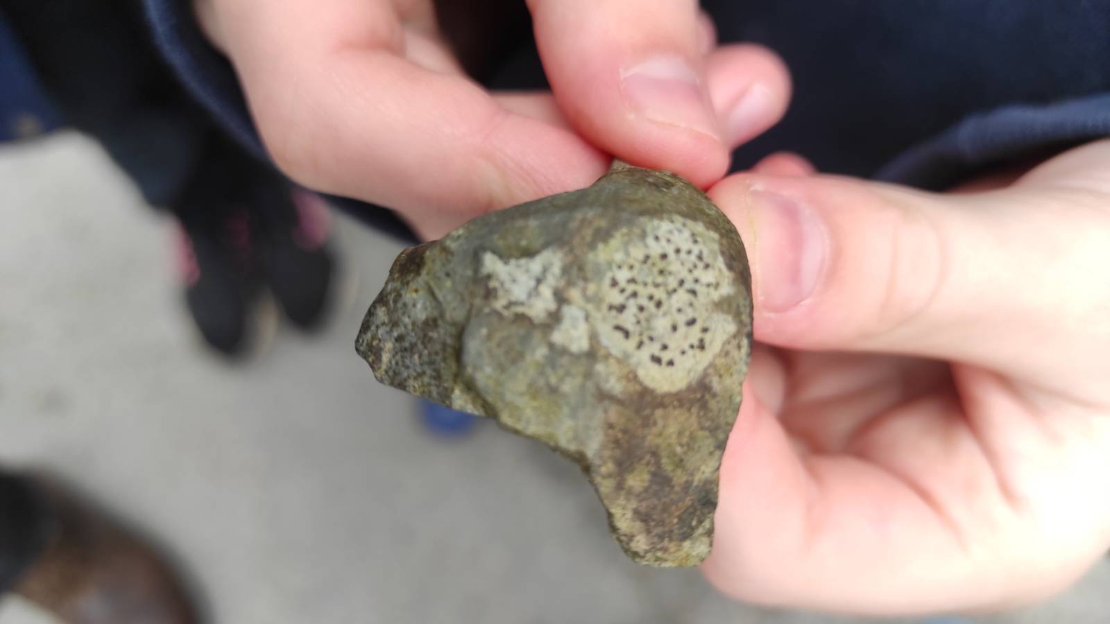Student with lichen on a rock
