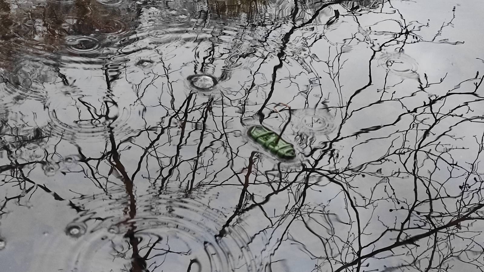 One of the students made a lovely reed boat out of the abundant Soft Rush (Juncus effusus)