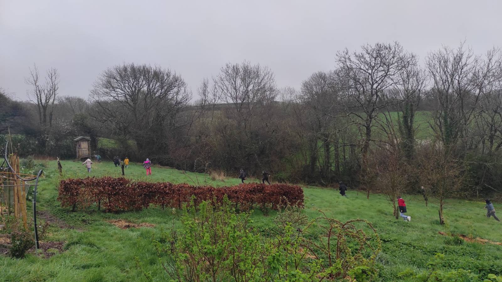 Cae Ysgubor on a grey March day for the first Stori Wyllt workshop