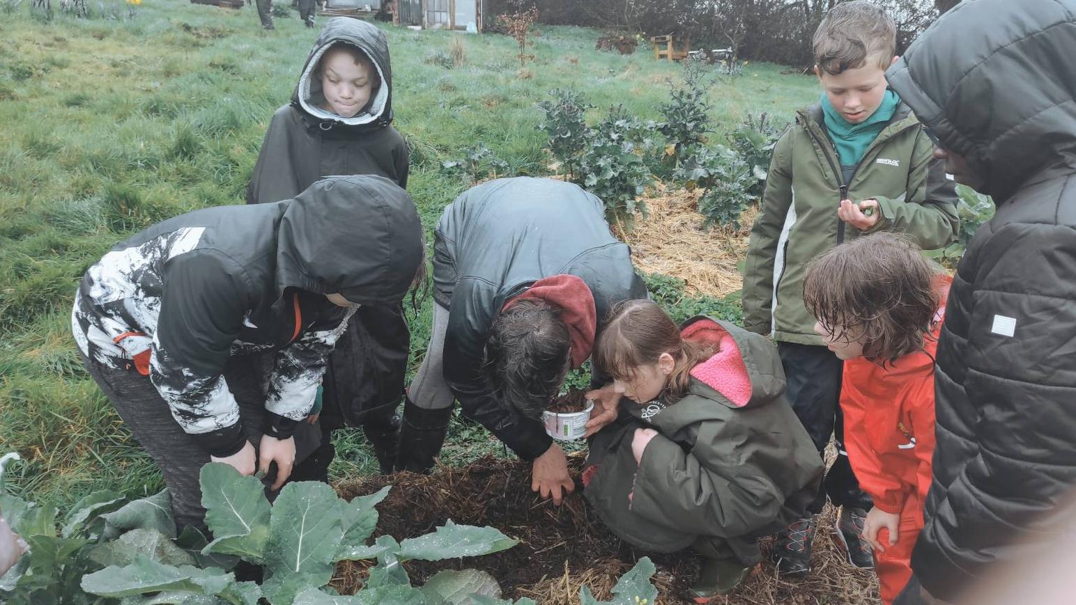 Molly searching for mycelium and worms with students