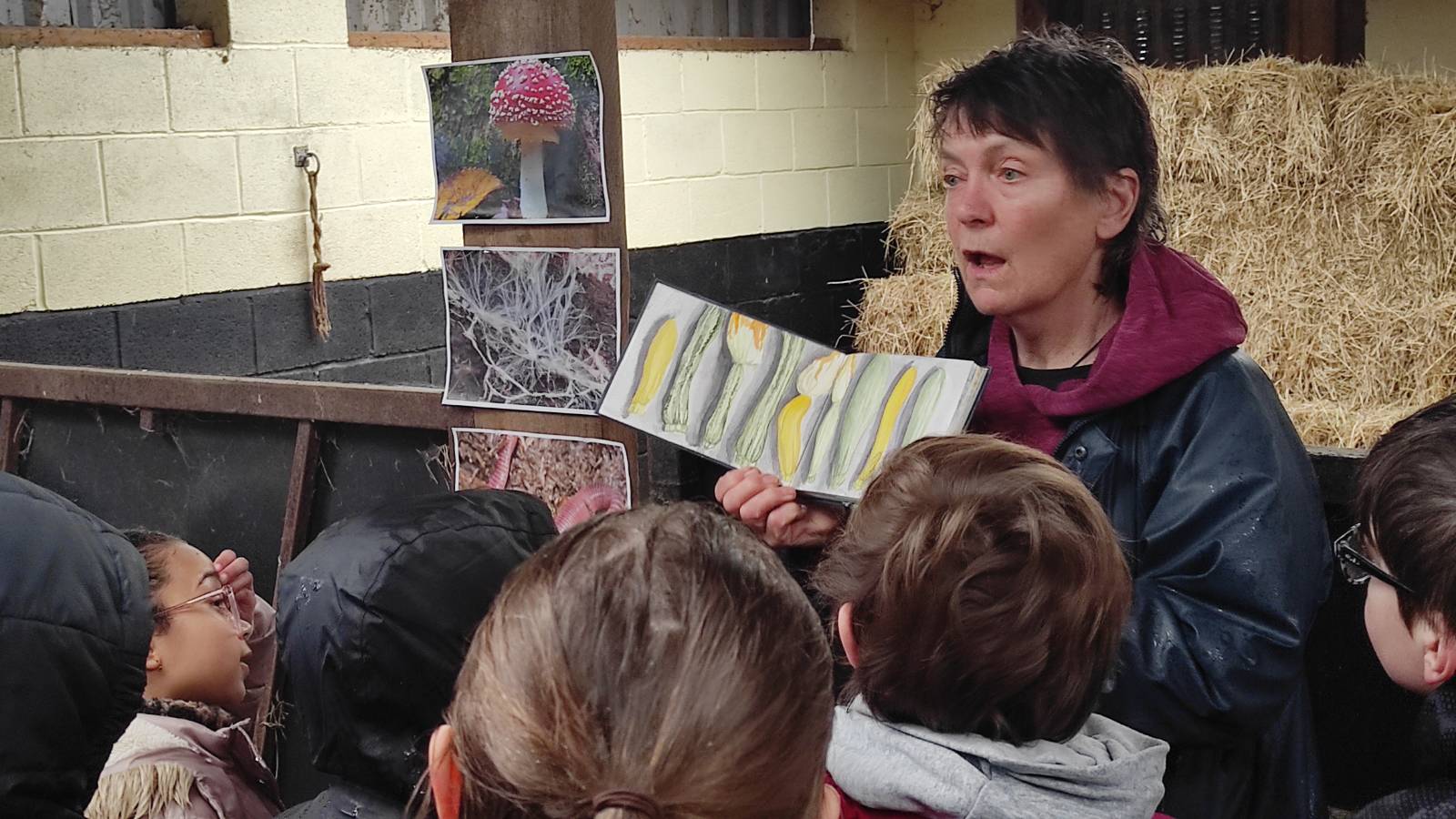 Molly gave an inspirational talk about the food web, mycelium, fungi and her inspirational sketchbooks