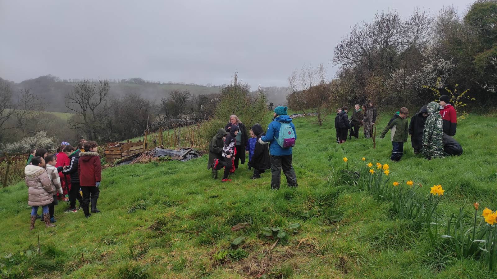 3 groups of students in a damp field