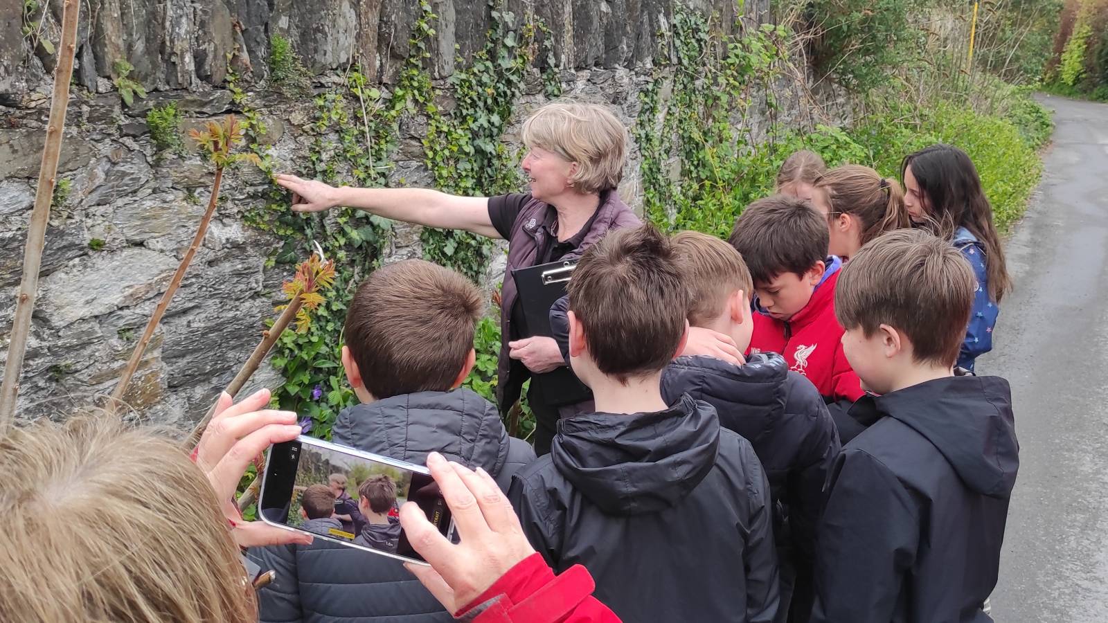 Sheena the ecologist looking at habitat in a wall by the school.