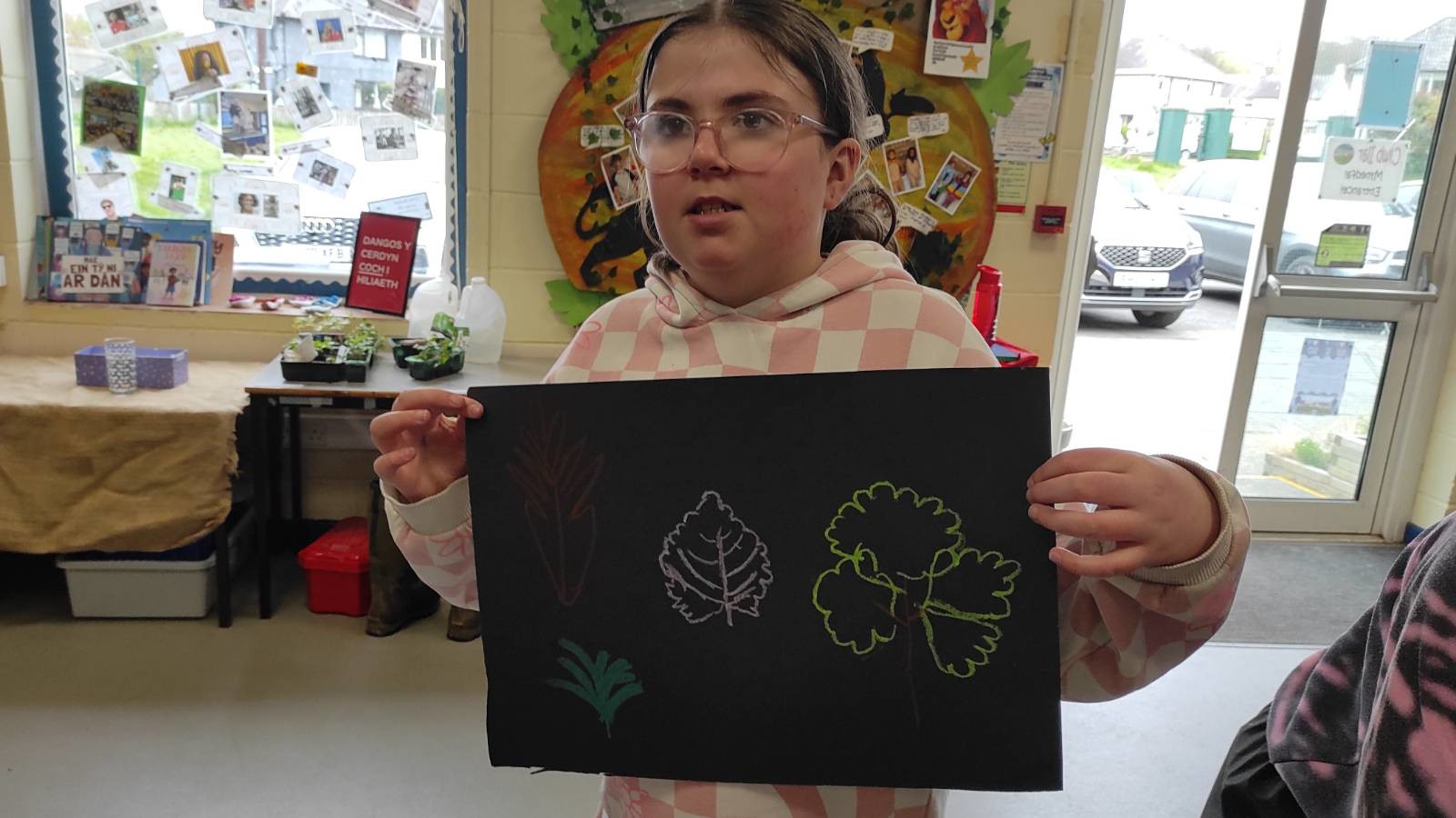Ysgol Llanilar Workshop 2