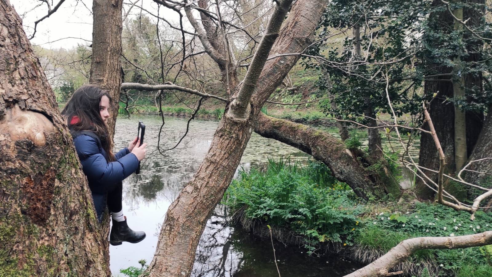 Student taking photo from the willow by the pond