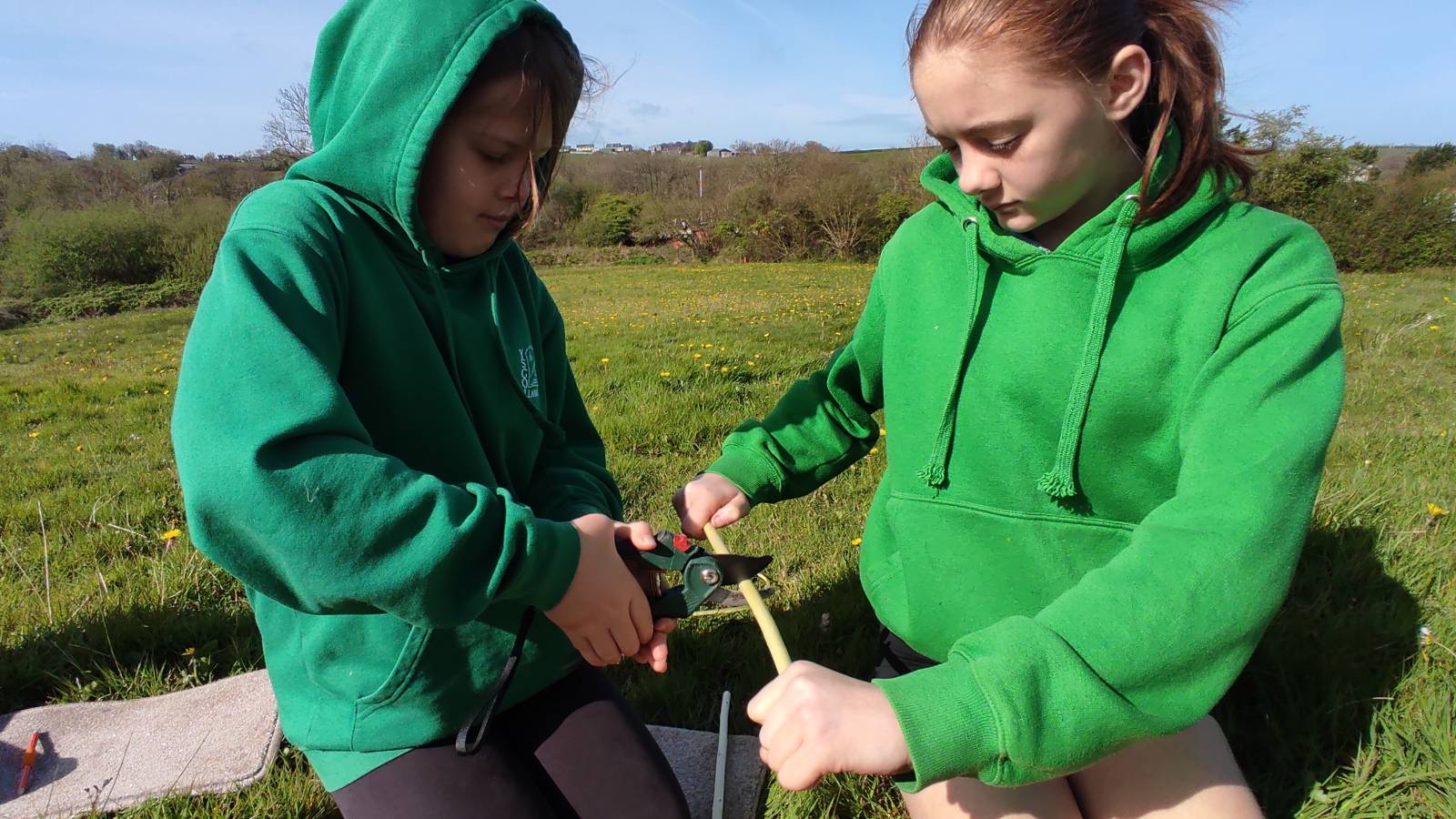 Students using secateurs to trim the stripped willow sticks to fit in the tin.