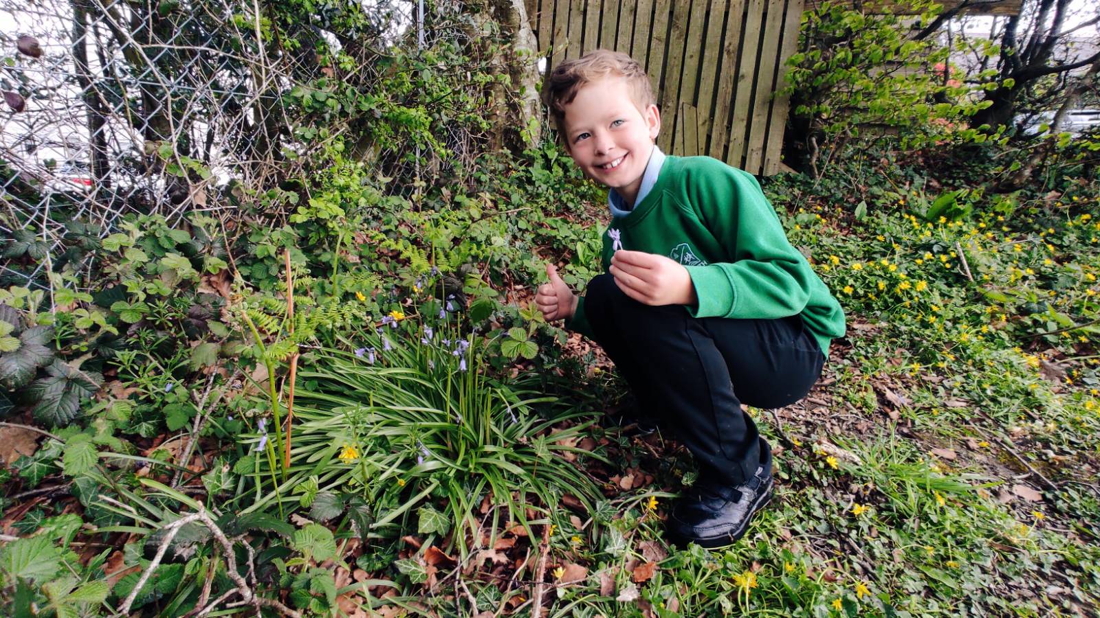 Student with Bluebell stash.