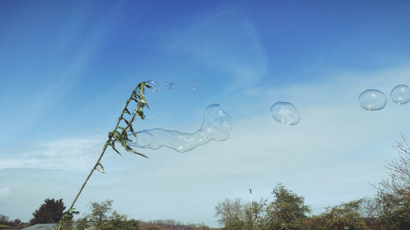 Whilst the willow charcoal was cooking on the fire, Jo organised three more activities: bubbles with hand-made willow hoops, making dyes and finally herbal teas.