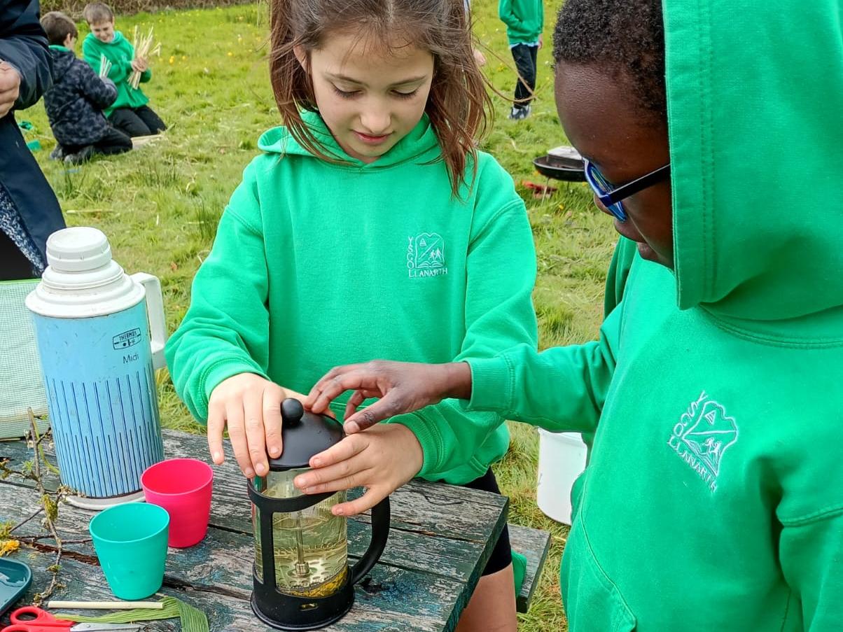 Students making Dandelion tea.