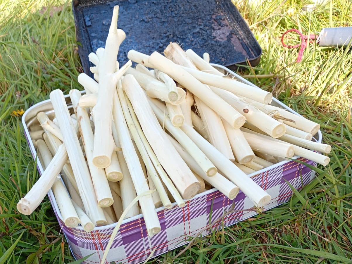 Willow sticks in the tin