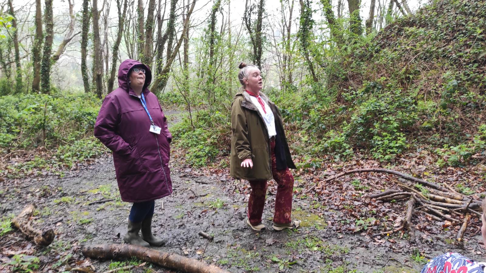 Looking and listening in the old quarry in Allt yr Graig wood.