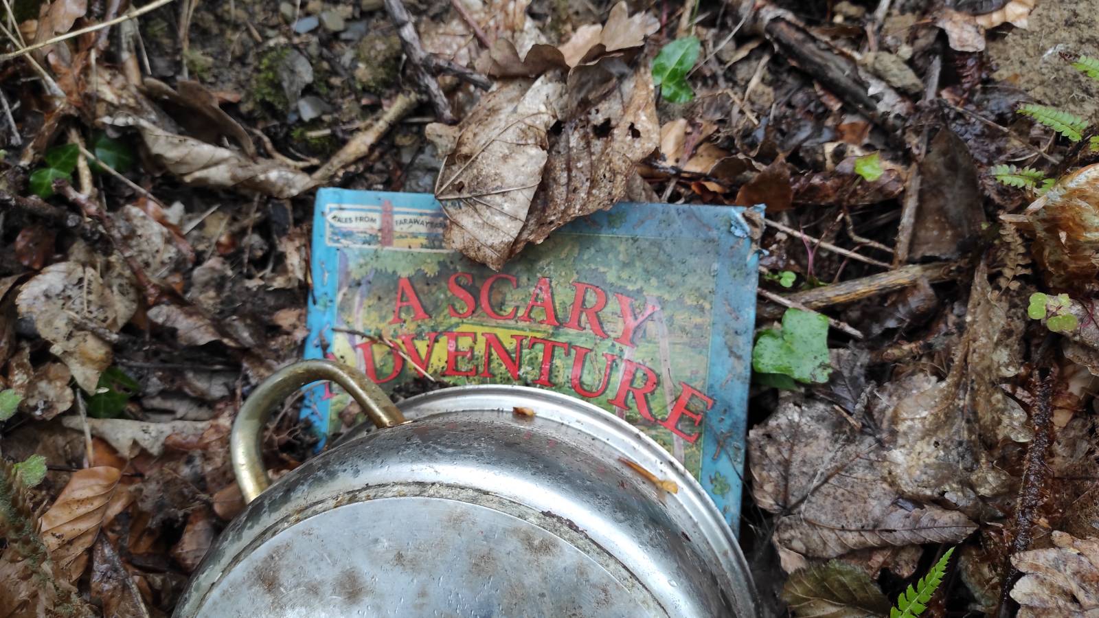 A book called A Scary Adventure, under a saucepan, in the hedge