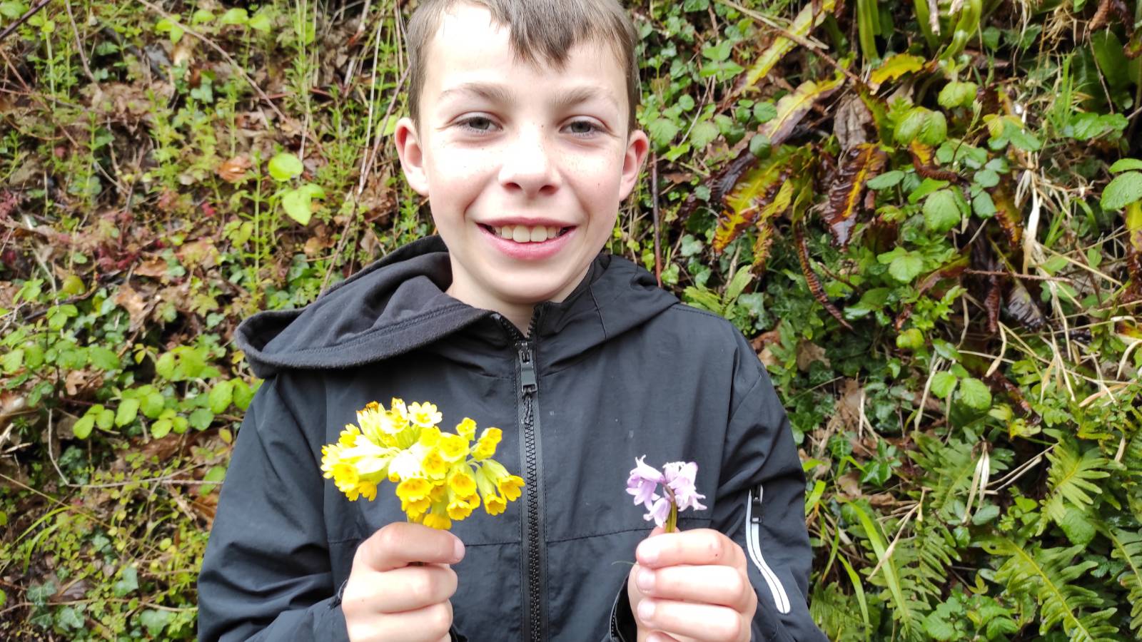 Student with posy of Cowslips (Primula veris) and Bluebell.