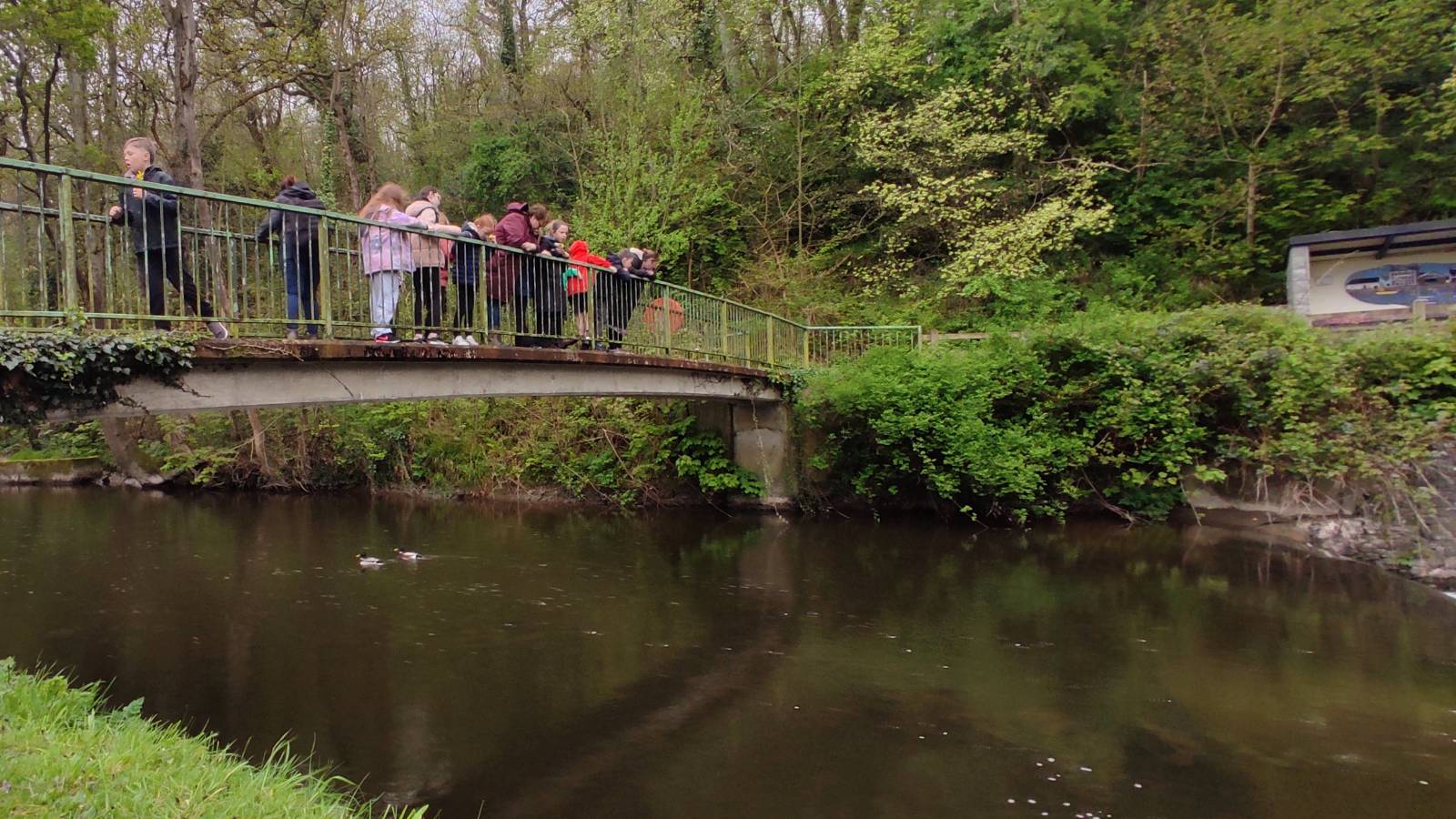 Students on the bridge over the river Aeron.