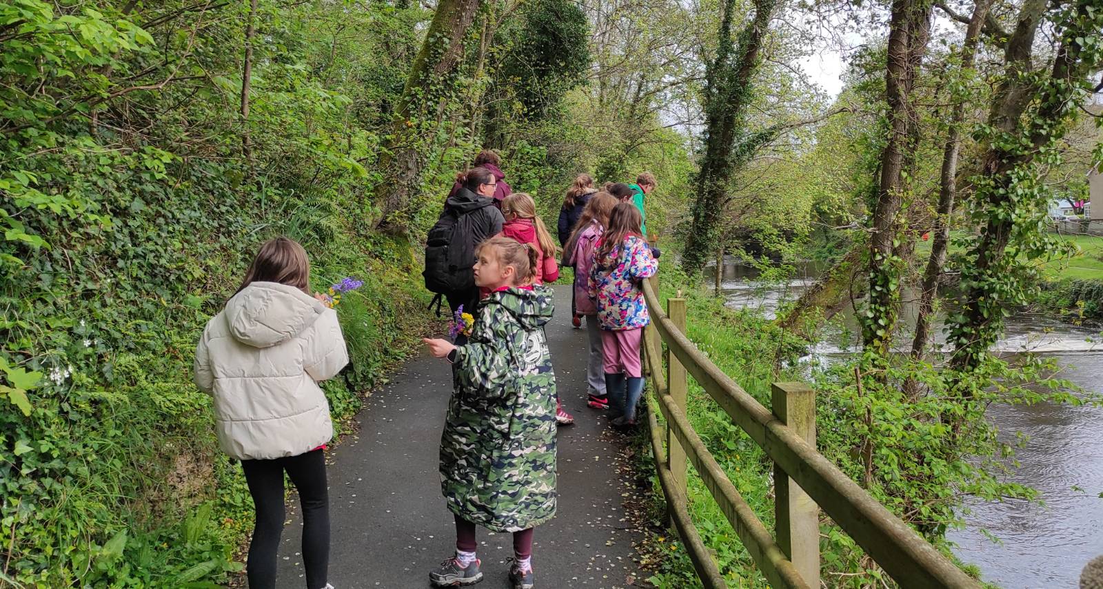 Students with posies walking back to school by the river Aeron.