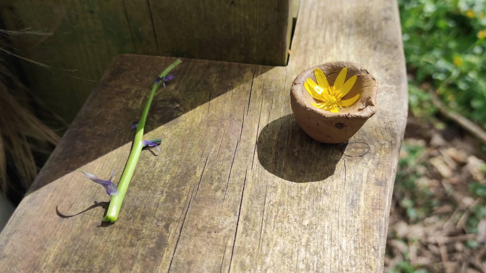 Stripped Bluebell and miniature clay bowl embossed with Lesser Celandine flower.