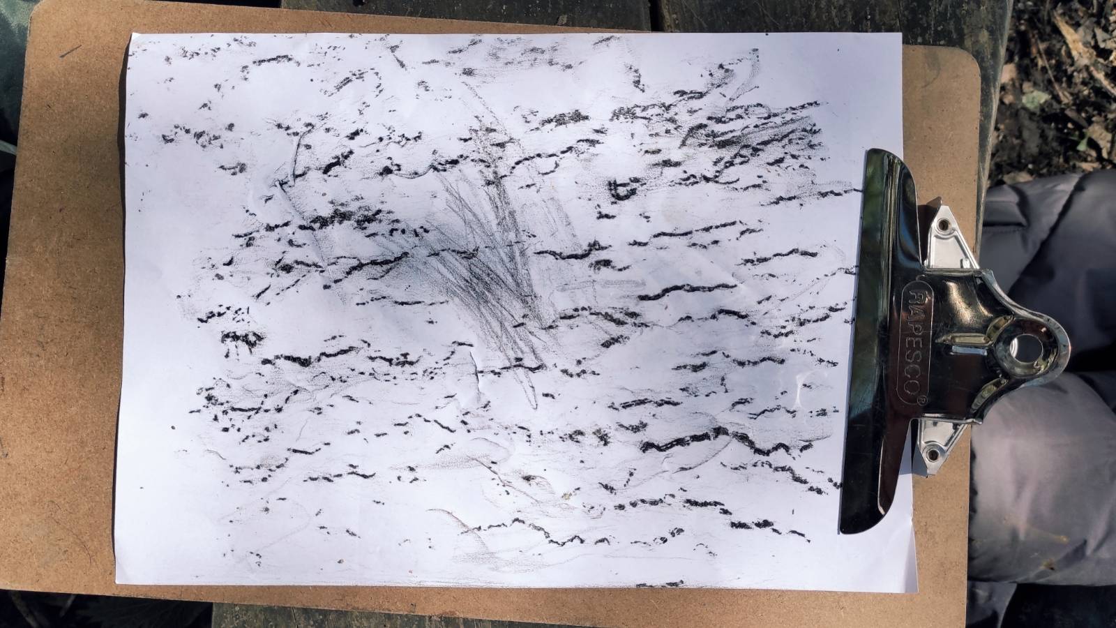 Crayon rubbing of Oak bark.