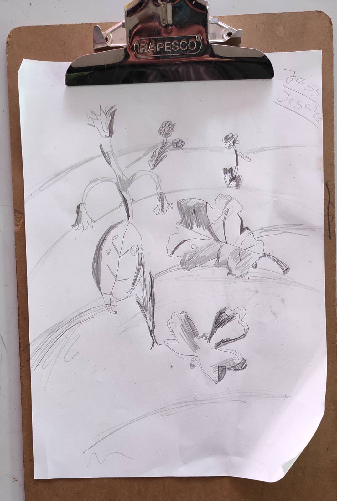 Pencil drawing of leaves and flowers.