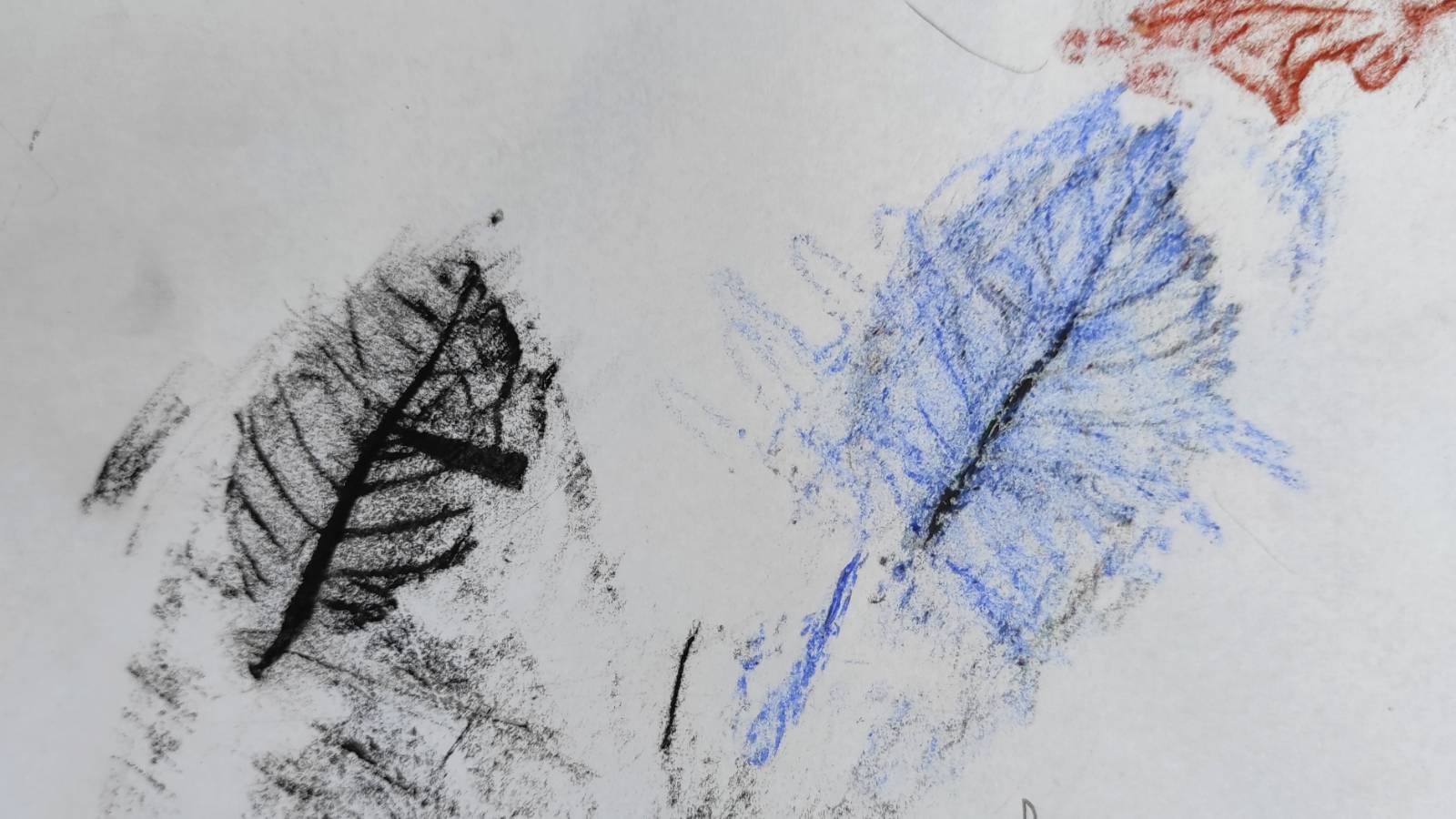 Crayon rubbing of tree leaves
