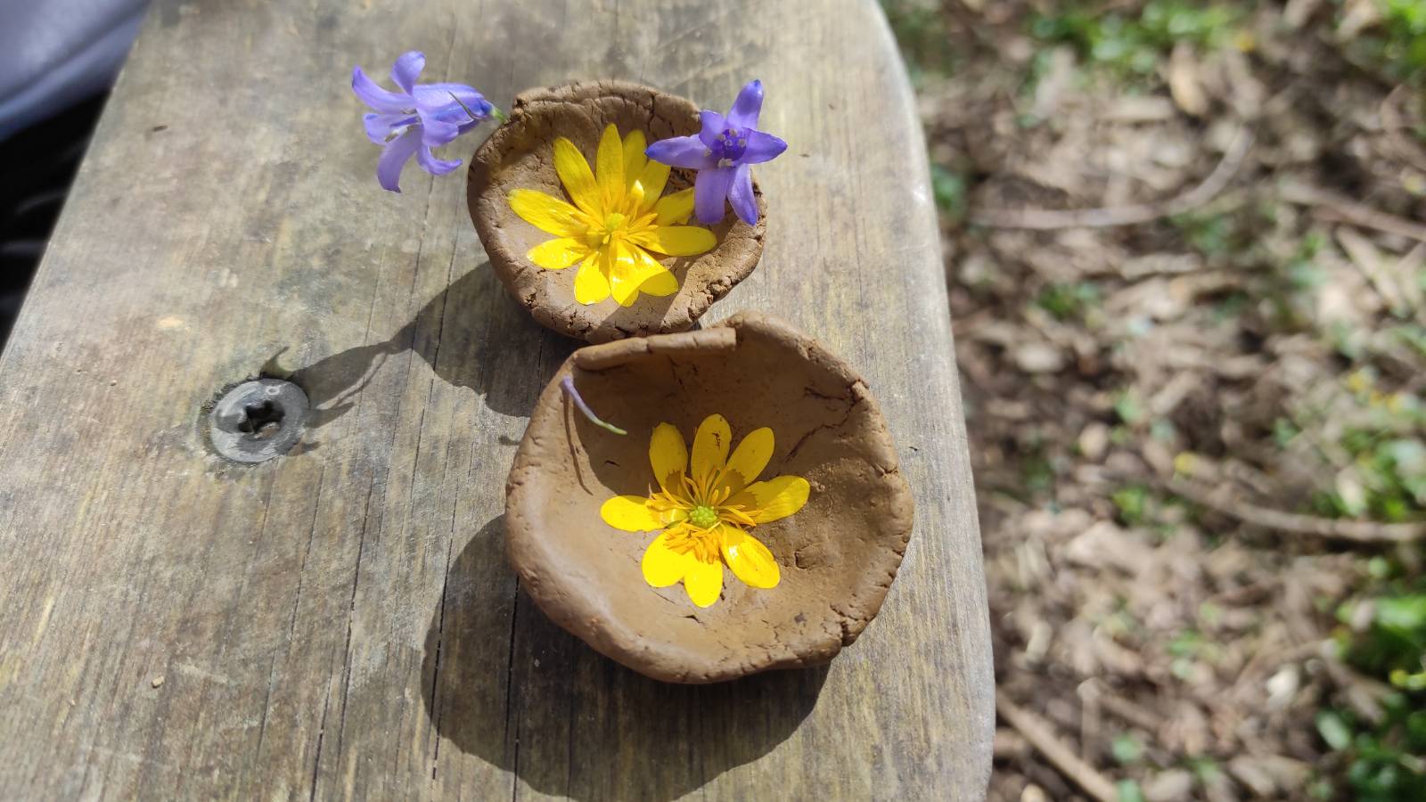 Miniature clay bowls embossed with Lesser Celandine flowers.
