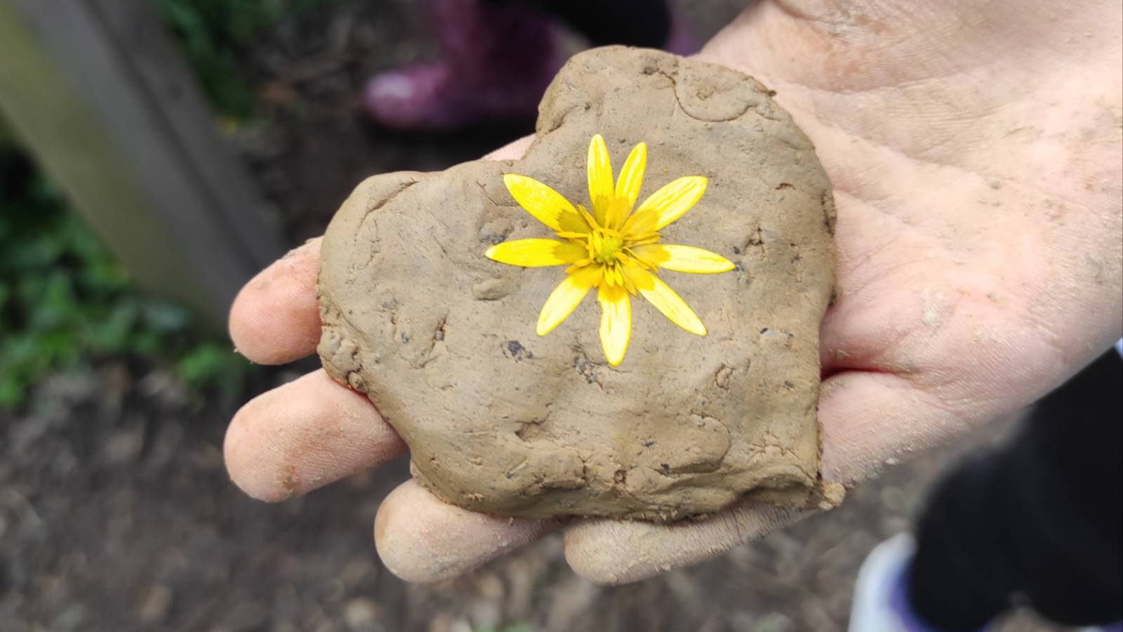 Hand holding fresh clay heart, embossed with a yellow Lesser Celandine flower