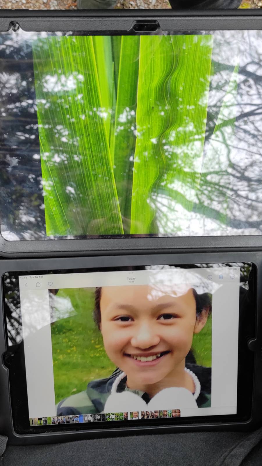 The art group went out to take photos of patterns with the tablets. This student took lovely photos of the rippled flower spikes of Yellow Flag Iris (Iris pseudacorus).