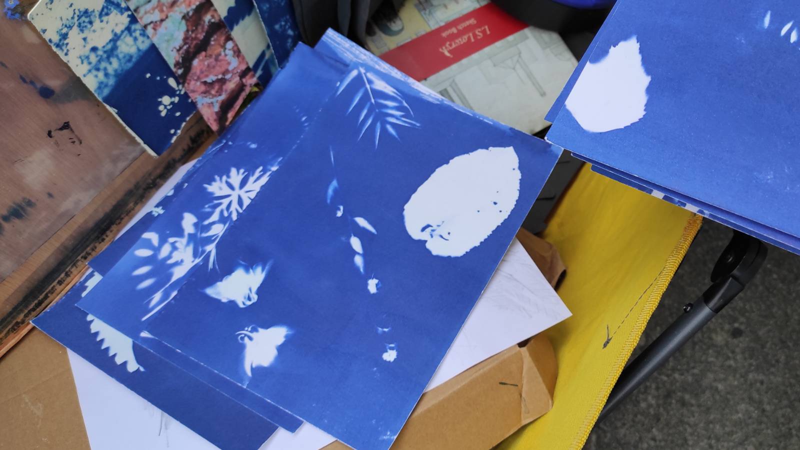 Cyanotype print with a diagonal arrangement.