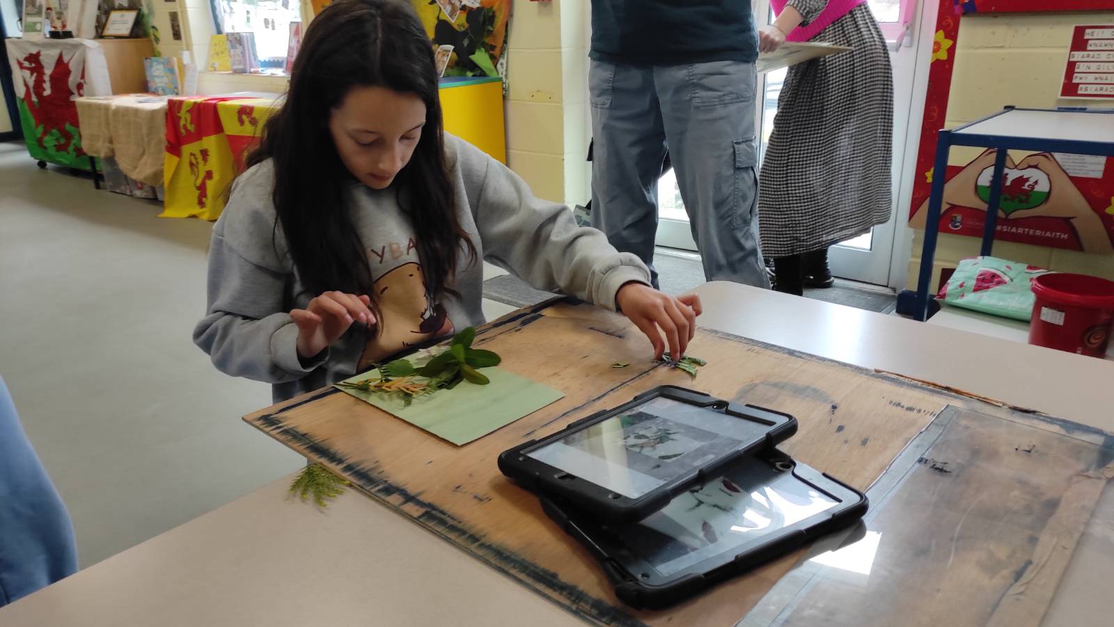 Student arranging plants for the cyanotype print.