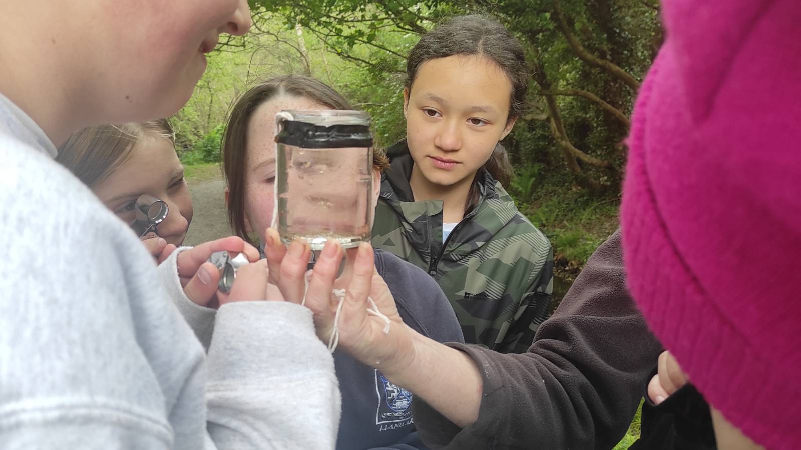 Sheena tried pond dipping in Llanilar pond, without much success.