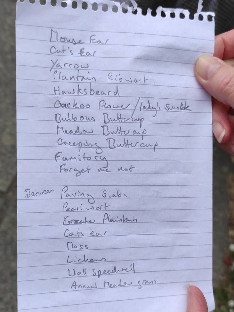 And this is the plant list for flowers continued, and then plants between slabs.