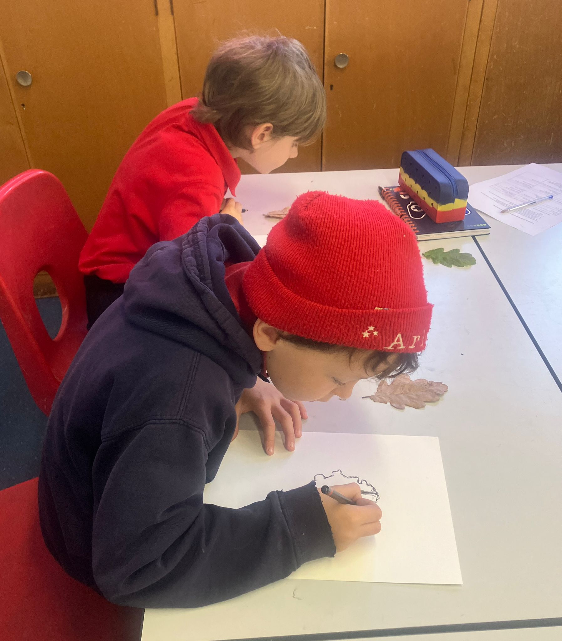 Student drawing an Oak leaf.