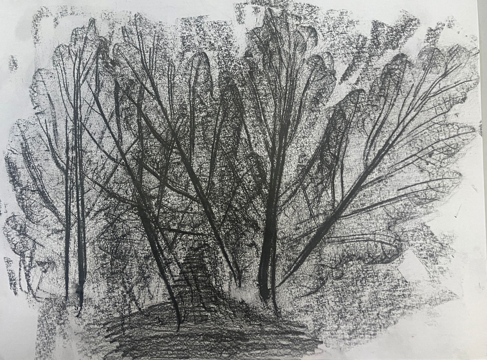 Crayon layered rubbing of Oak leavs