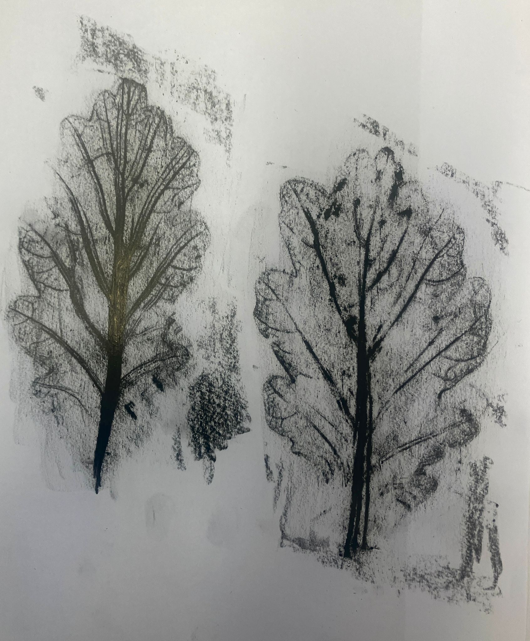 Rubbing of Oak leaf.