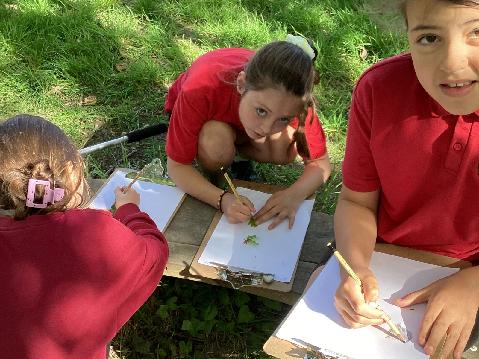 Students sketching leaves in the outdoor area