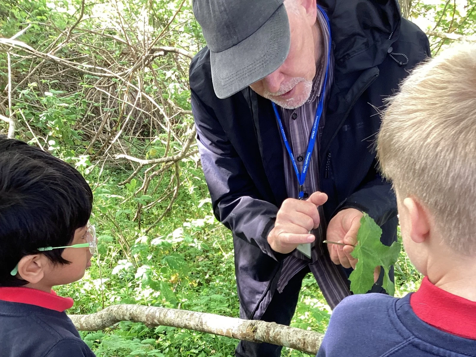 Dangerous plants! Jake showing the sap of the Hogweed, which causes blisters in the sun