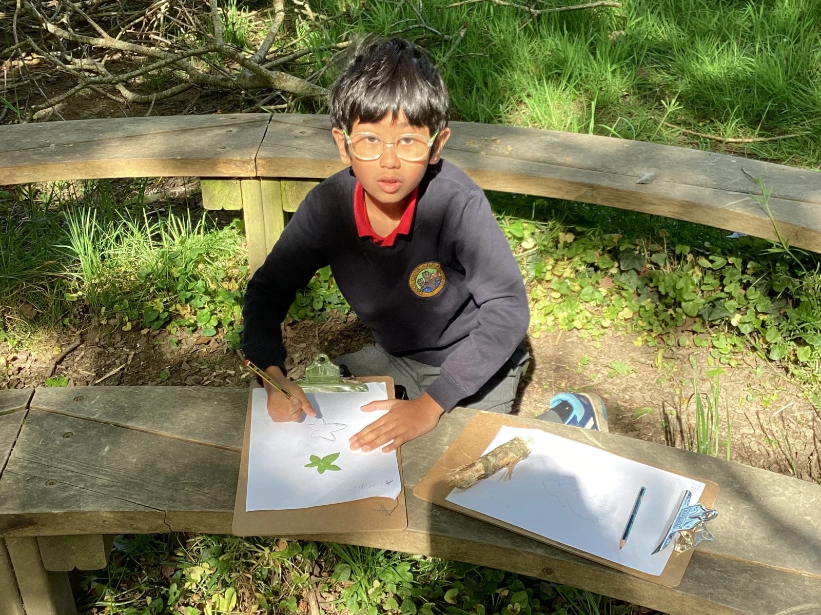 Student sketching leaves in the sun on the bench