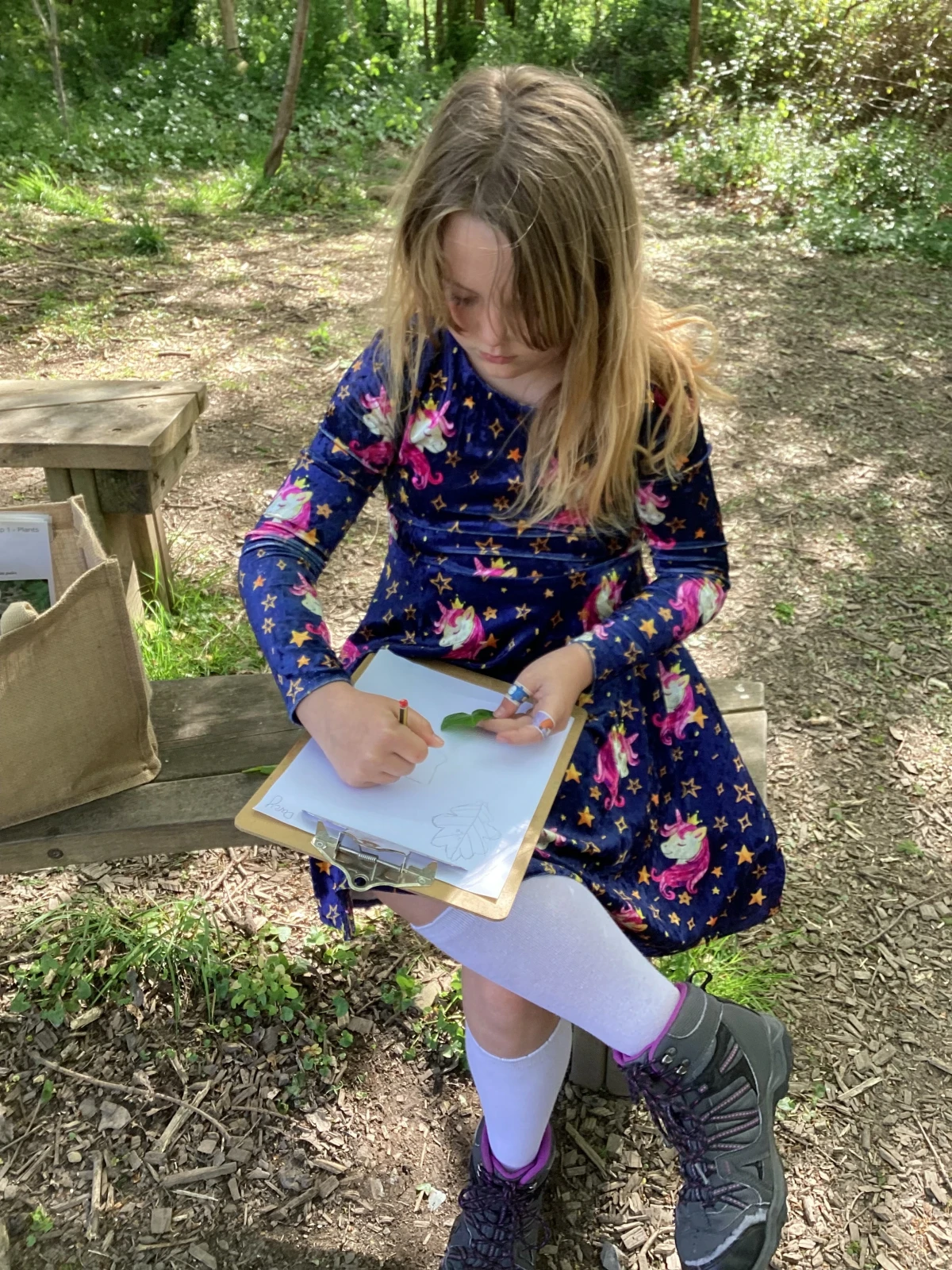 Student studiously drawing Ivy leaf