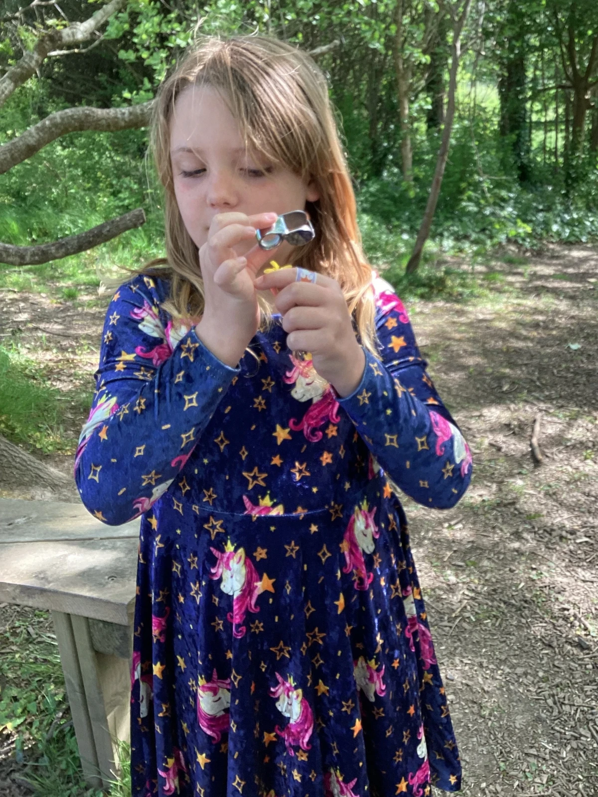 Taking a close look at Lesser Celandine flower