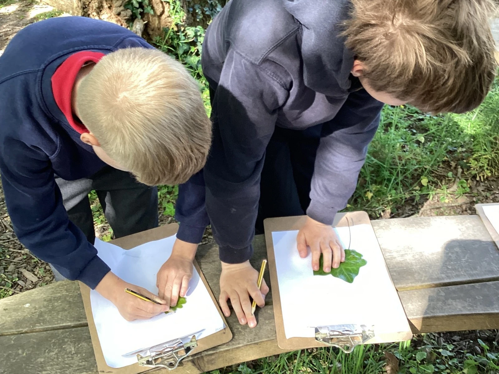 Heads down the most fun, drawing leaves