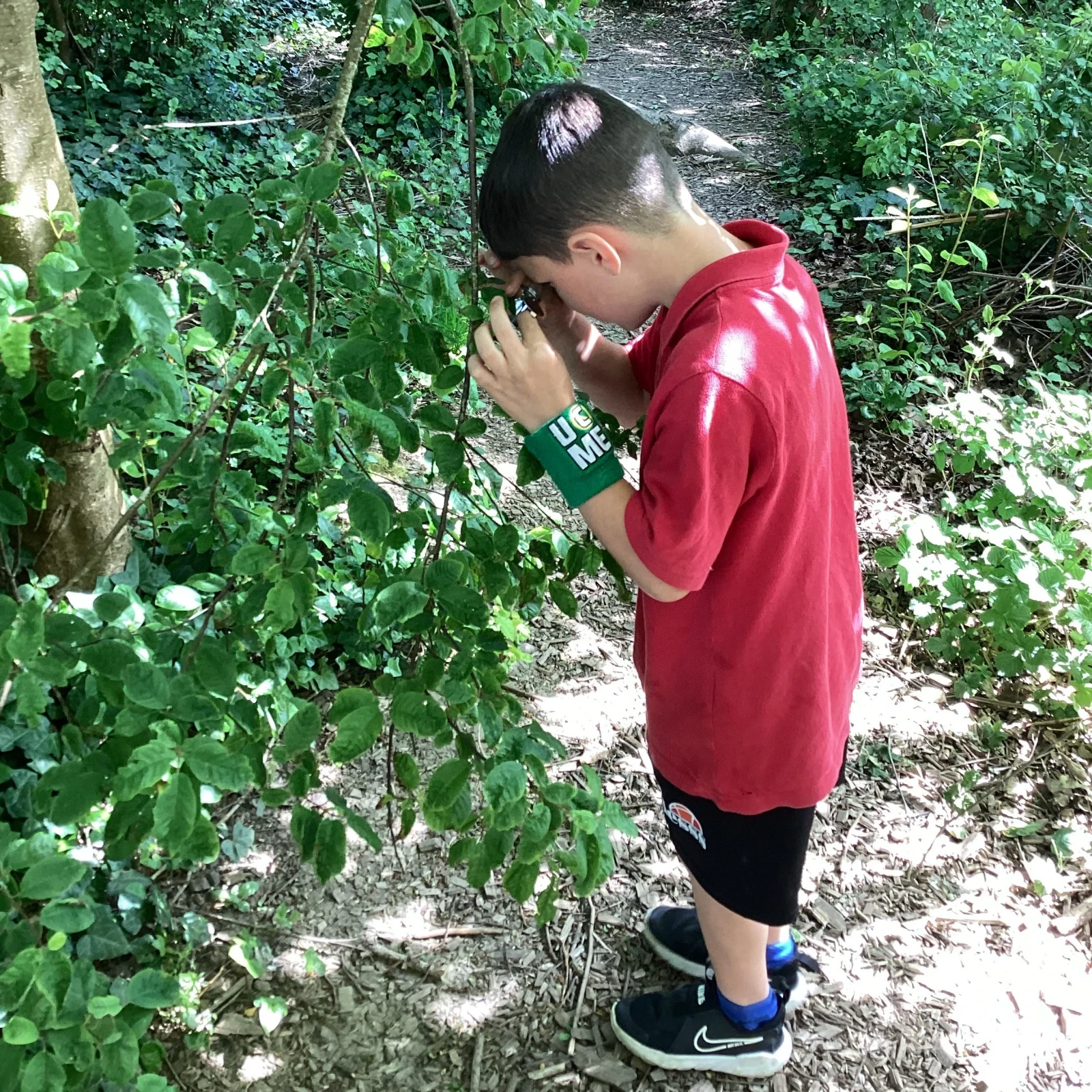 Close scrutiny
