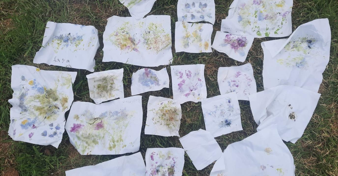 Collection of flower press prints