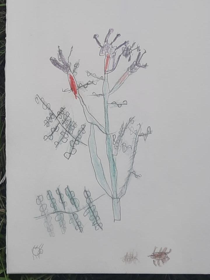 Blues and reds to the fore in this wild flower painting